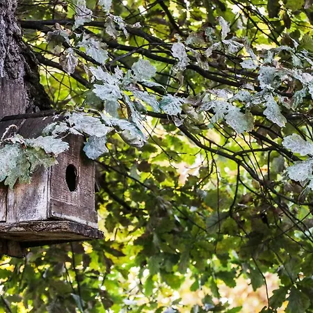 Villa Nature *